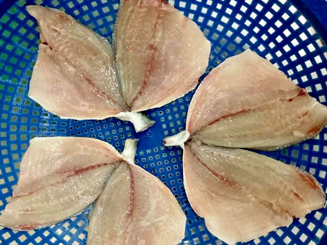 gpfbutterfly